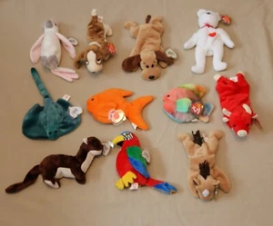 Lot #5 of 11 RARE Ty Beanie Babies All Retired w/Hang & Butt Tags & Protectors - Picture 1 of 2