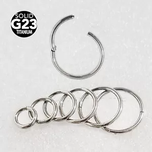Anillo con bisagras de titanio sin costuras segmento anillo nariz aro anillo labret anillo tabique - Imagen 1 de 5