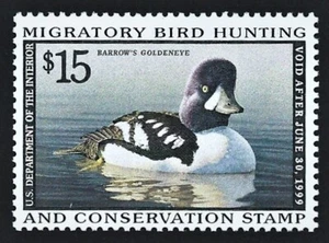 RW65 "BARROW'S GOLDENEYE" $15.00 FEDERAL DUCK STAMP MNH - Picture 1 of 2