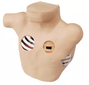 Maniquí de entrenamiento modelo de drenaje toracentesis KAS/9XB - Imagen 1 de 3