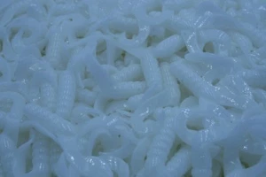 2" White Twin Tail Twister Grubs Crappie Walleye Bass Fishing Killer Jigs - Picture 1 of 1