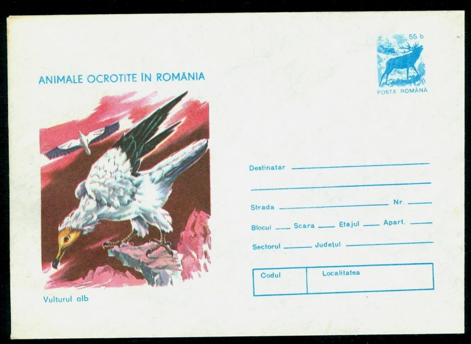 1977 Eurasian griffon/white vulture (Gyps fulvus),bird of prey,Romania,cover - Image 1 of 1