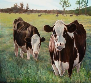 "Cows, Savannah, GA." Oil on Canvas. 42" high X 45.5" wide. Carnivore, beef - Picture 1 of 3
