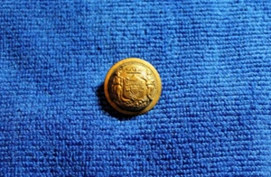 Civil War Wisconsin State Button Scovill Waterbury Shank Back Metal Dome Style - Picture 1 of 11