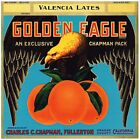 Genuine Orange Crate Label Bald Golden Eagle Fullerton Lates Vintage 1930S