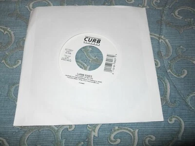 LEANN RIMES - You Light Up My Life ~ 45 RPM 7" Vinyl ~ Curb Records Foto 1 de 3
