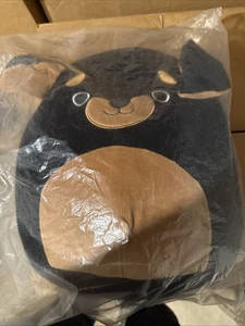 Squishmallows Mateo Plush Dark Gray & Brown Rottweiler Dog 12in RARE - Picture 1 of 2