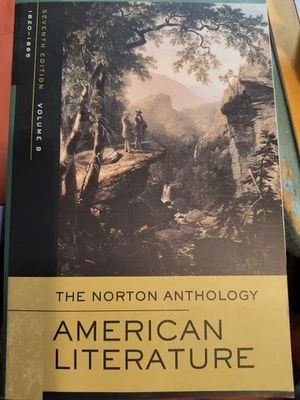 The Norton Anthology of American Literature, 3 volumes, paperback, 1820 - 1945 - Image 1 of 4