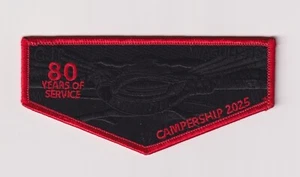 BSA OA WAGULI LODGE 318 2025 CAMPERSHIP HERP OUR 80TH ANNIV - Bild 1 von 1
