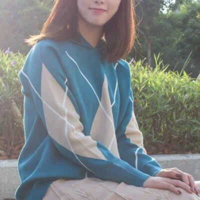 Blue Argyle Hoodie Lightweight Knit Sweater V-Neck Hooded Design Size XS NWT - Image 1 of 4