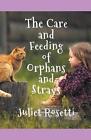 The Care & Feeding Of Orphans And Strays By Juliet Rosetti Paperback Book