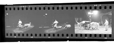6xFoto-Negativ, Zirkus 60iger bis 70iger, Zirkus Sarrasani,  ZT 55005 f - Bild 1 von 4