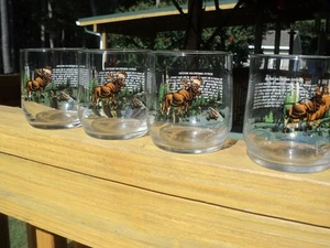 4 Vintage Sunoco North American Wildlife Glass Libbey North American Moose - NEW - Picture 1 of 8