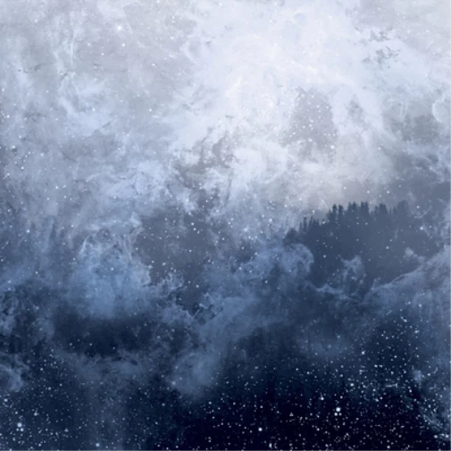 Wolves in the Throne Room Celestite (CD) Album (UK IMPORT) - Image 1 of 1