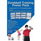 Dumbbell Exercises Laminated Fitness Poster 4 Pack