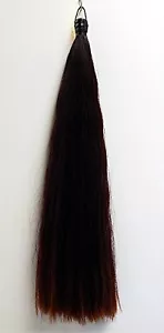 +Tail Extension 1lb CHESTNUT 36" New KATHYS TAIL Free Bag! AQHA USDF FEI APHA - Picture 1 of 4