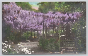 Postkarte RPPC stark handgetönt Garten & Pagoden Szene lila Glyzinien Blumen - Bild 1 von 2