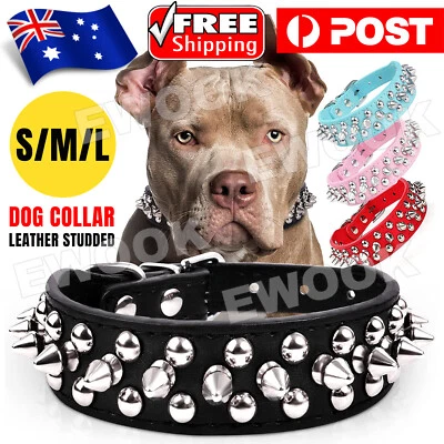 Dog Collar Leather Studded Black Brown Small Medium Large Breeds Pet Melbourne - image 1 of 4