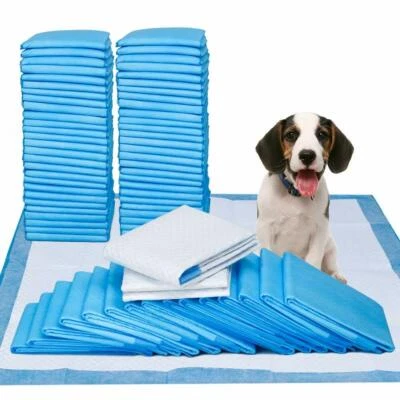 100 Stück Welpentoilette Hunde WC Hundeklo Welpen Puppy Pads Welpenunterlage - Bild 1 von 4