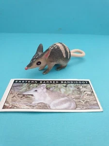 Yowies 🧸EASTERN BARRED BANDICOOT - with Papers 🧸FAST POST - Bild 1 von 1