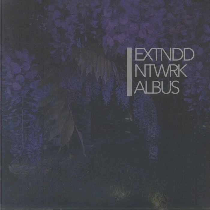 EXTNDDNTWRK - Albus - Vinyl (translucent blue vinyl 2xLP + insert) - Image 1 of 1