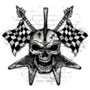 Adult DryBlend® T-Shirt - (RACING SKULL - GOTHIC - CHECKER BOARD FLAGS / GUITAR) - Picture 1 of 36