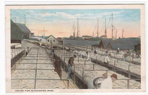 Trocknender Fisch Gloucester Massachusetts 1920c Postkarte - Bild 1 von 1