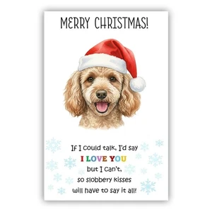 Poodle Dog Christmas Card. Dog Lovers Card From the Dog to Mum, Dad, Groomer - Picture 1 of 7
