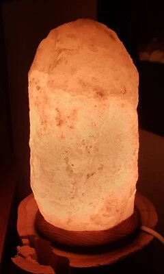 Lámpara de sal naranja cristal del Himalaya de 9 pulgadas Foto 1 de 2