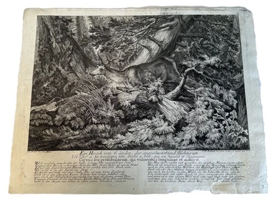 4 Ridinger Kupferstiche Betrachtung der wilden Thiere 1736 Nr 3 23 27 29 37x46cm - Bild 1 von 4