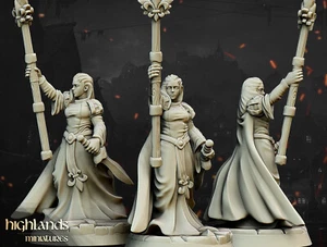 Damisela clérigo humano hembra miniatura x1 | D&D DnD | - Imagen 1 de 1