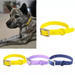 Waterproof Dog Collar - Heavy Duty Adjustable Anti-Odor Stink Resistant Soft ... - Picture 1 of 8