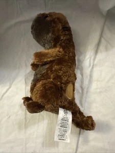 Disney Pixar Finding Dory Sea Otter ojos azules juguete de peluche marrón de 10” - Imagen 1 de 13