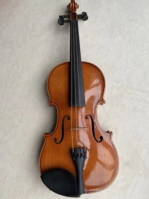 Geige 4/4 mit Koffer, Sehr Guter Zustand - Bild 1 von 4