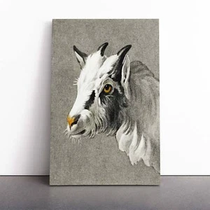 Head Of A Goat Animal Vintage Jean Bernard Canvas Wall Art Print Framed Picture - Picture 1 of 7
