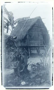 1900's NIPA HUT Philippines glass negative 3-1/4 x 5-1/2 #2 - Picture 1 of 2