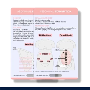 Abdominal Examination, Midwifery Reference Card, Fundal Height, Fetal Station - Picture 1 of 2