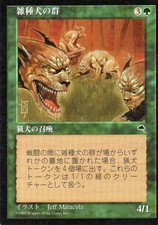 Magic Mtg Tempest Japanese Mongrel Pack   lightly played