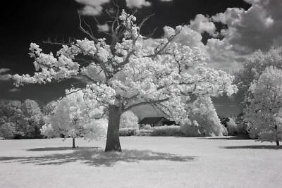 Modified Nikon D5000 cam body. Converted Full Spectrum-Astro-IR. FS: FREE FILTER - Image 1 of 4