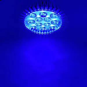 36W PAR38 Royal Blue 450nm~455nm LED Lamp Spot Light Bulb for Plant Aquarium - Picture 1 of 6