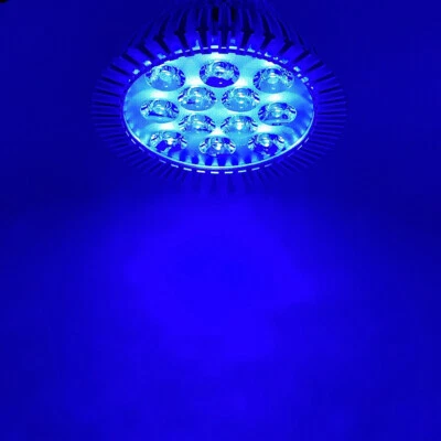 36W PAR38 Royal Blue 450nm~455nm LED Lamp Spot Light Bulb for Plant Aquarium - Image 1 of 4