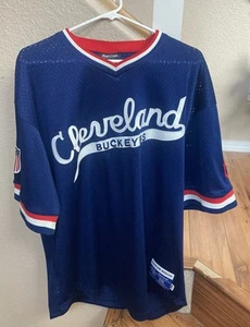 Cleveland Buckeyes #10 Negro League Baseball Jersey Size 3XL 1946 Replica - Picture 1 of 7