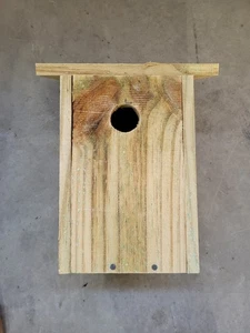 1 Bluebird Haus aus behandeltem Holz - Bild 1 von 6