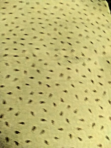 Quilt Club Collection 2003 by Thimbleberries RJR Fabrics Cotton 9 in - Picture 1 of 4