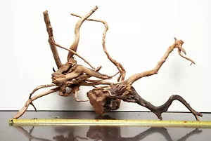 Driftwood stile ADA LEGNO DI RAGNO acquario ramo ceppo acquario A011 WYSIWYG - Foto 1 di 3