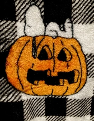 Snoopy Blanket Thanksgiving Plaid Pumpkin Doghouse 75th Anniversary - Image 1 of 4