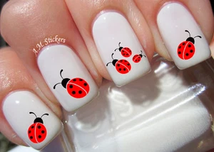 Ladybug Nail Art Stickers Transfers Decals Set of 62 - A1282 - Picture 1 of 2