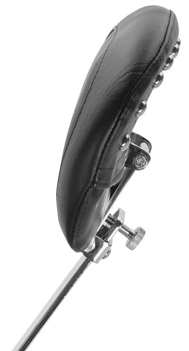 Respaldo conductor Mustang Summit con tacos negros #79590 Harley Davidson Foto 1 de 1