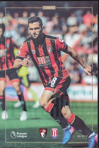 2016/17 BOURNEMOUTH V STOKE CITY 06-05-2017 PREMIER LEAGUE - Picture 1 of 1