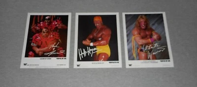 复古 1990 年 WWF 印刷品 - 绿巨人霍根 - 终极战士 - 末日军团 — 第 1/4 张图片